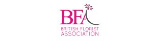 bfa_logo